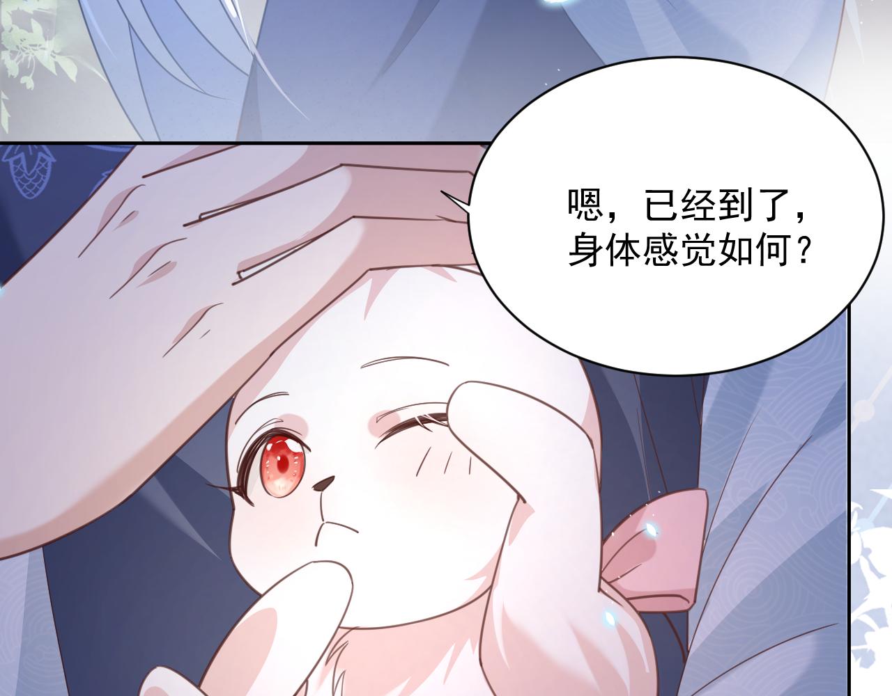第69话 兔子，跟我回家30