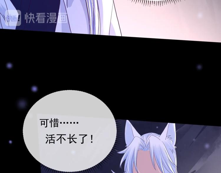 第2话 死不了的小废兔68