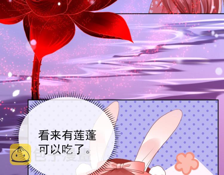 第1话 重生成小兔妖67