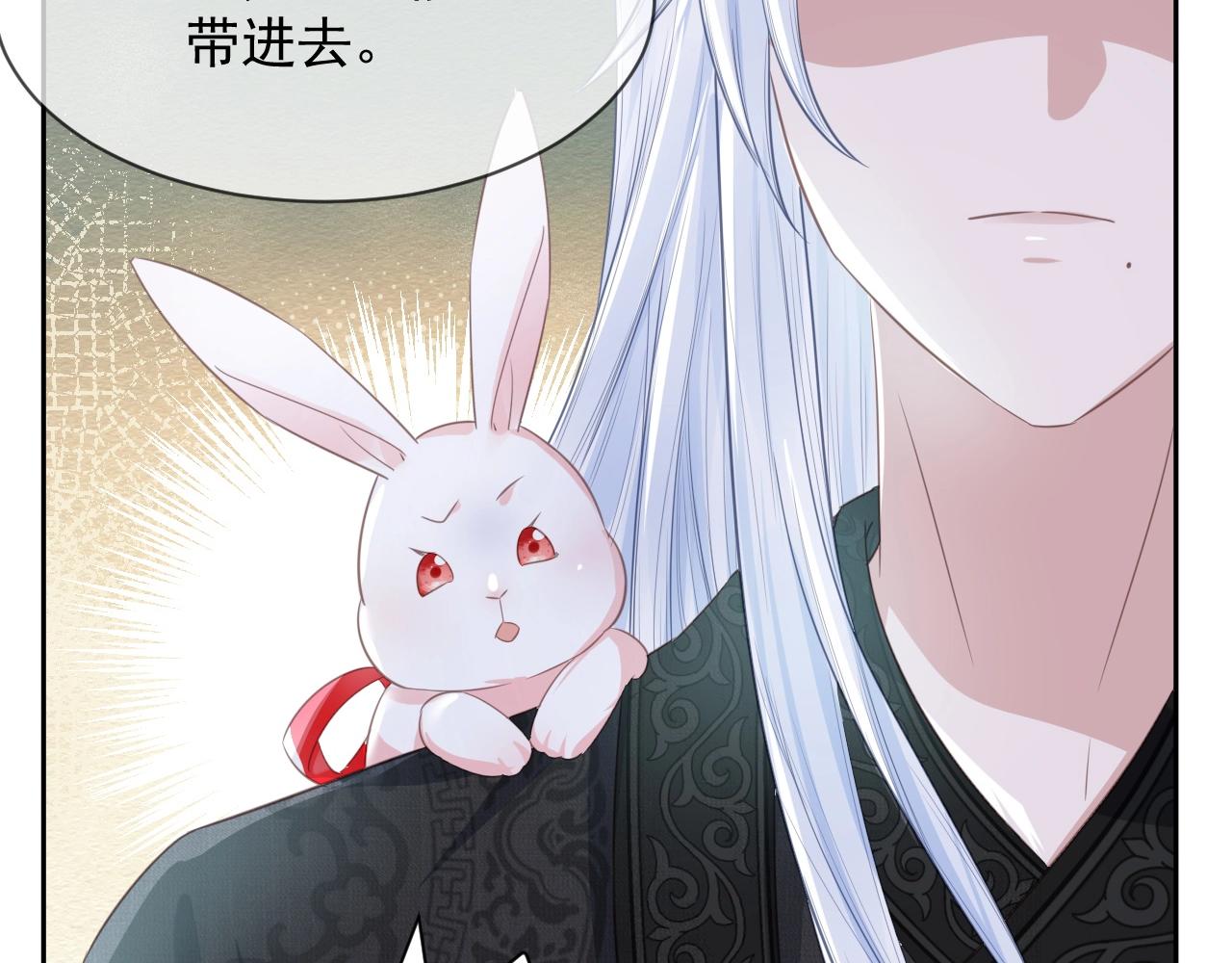 第8话 带着兔子去学院73