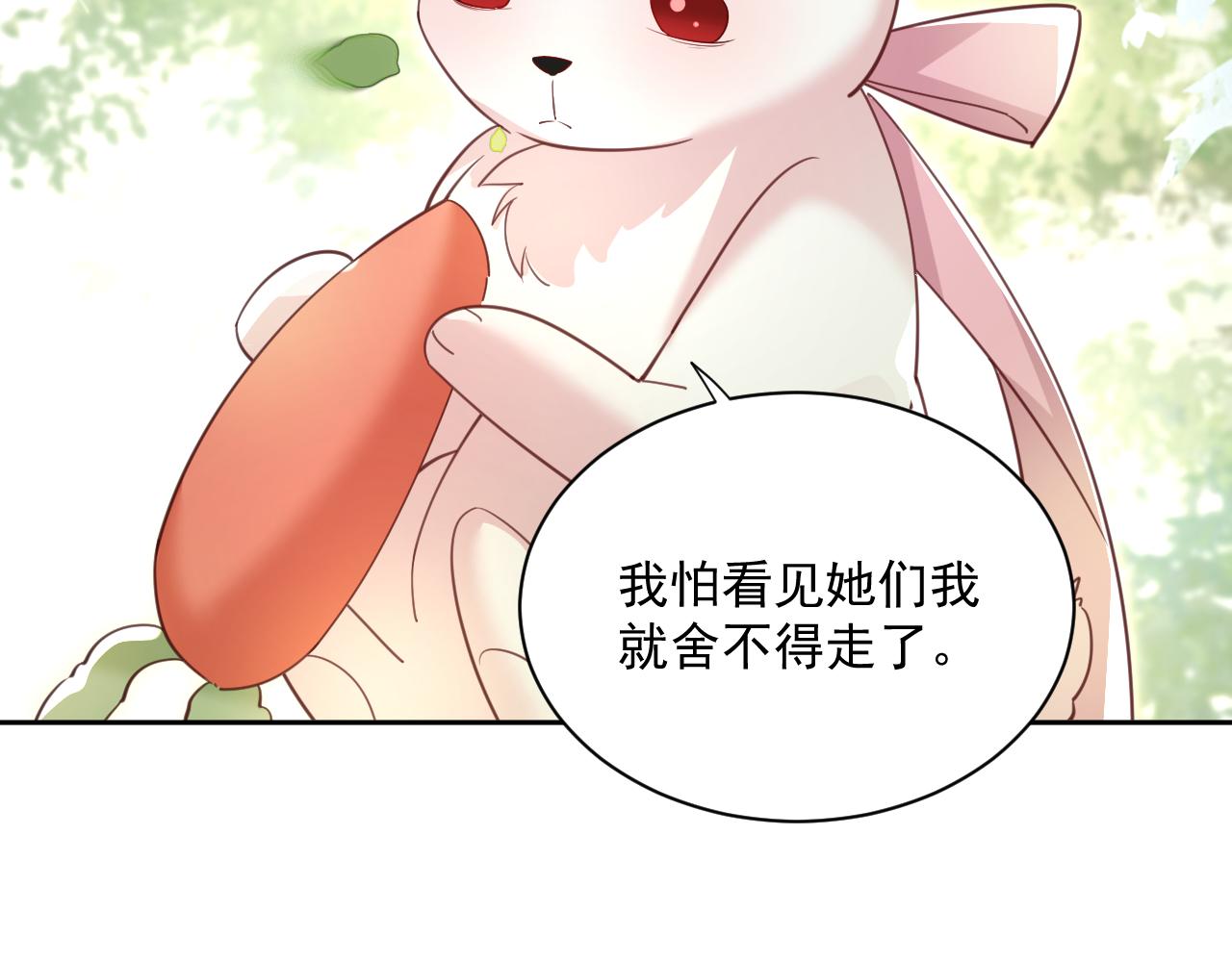第69话 兔子，跟我回家17