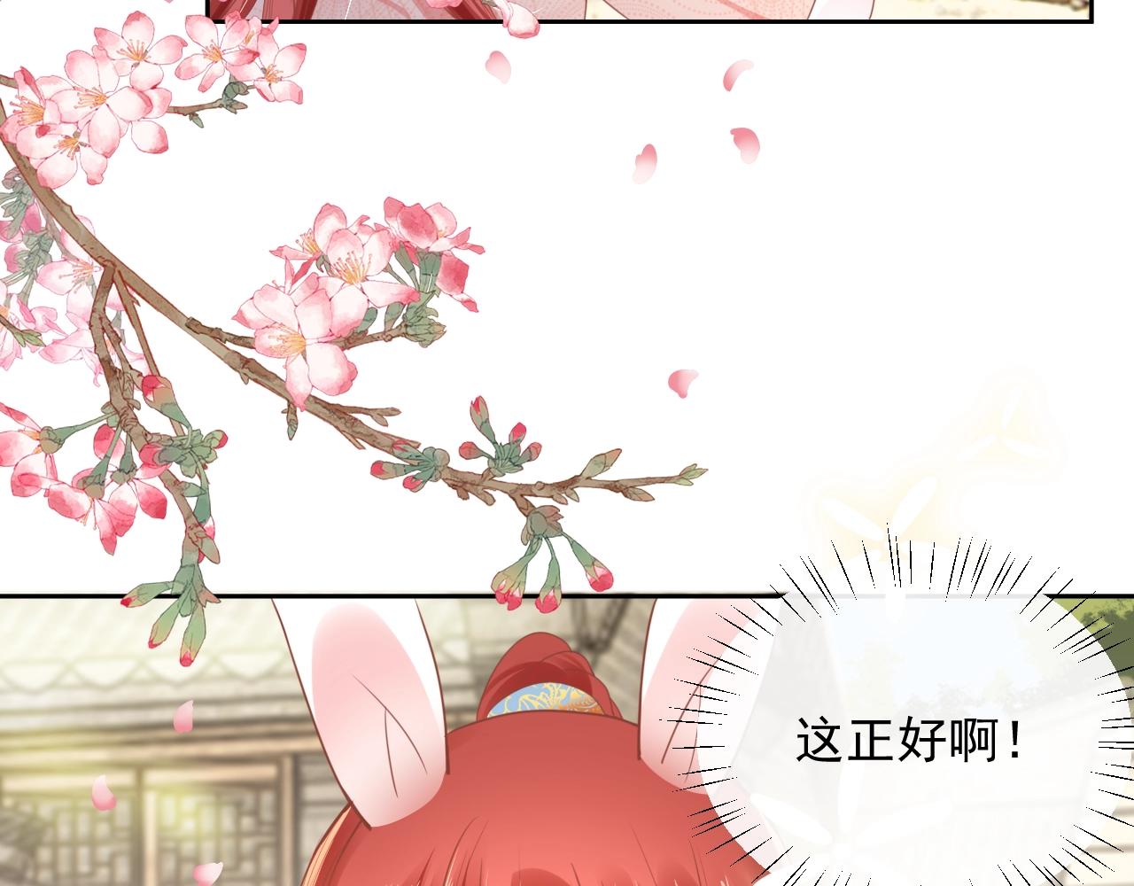 第8话 带着兔子去学院56