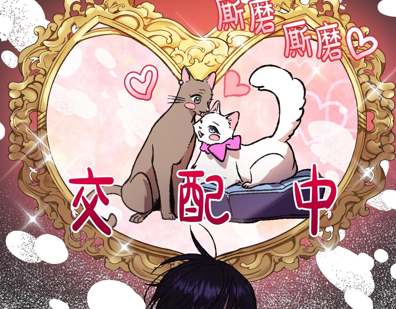 第12话 扑倒！167