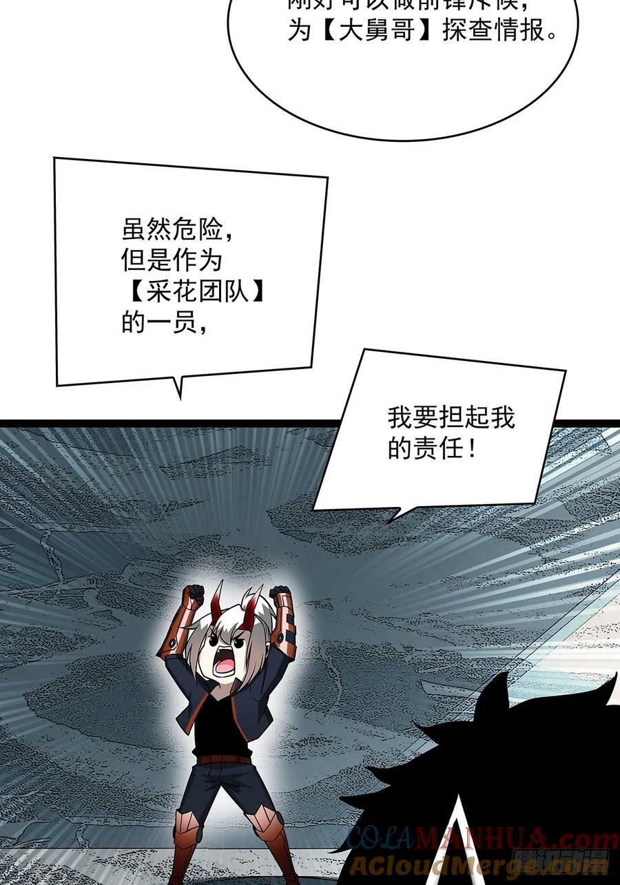 采花团队成立20