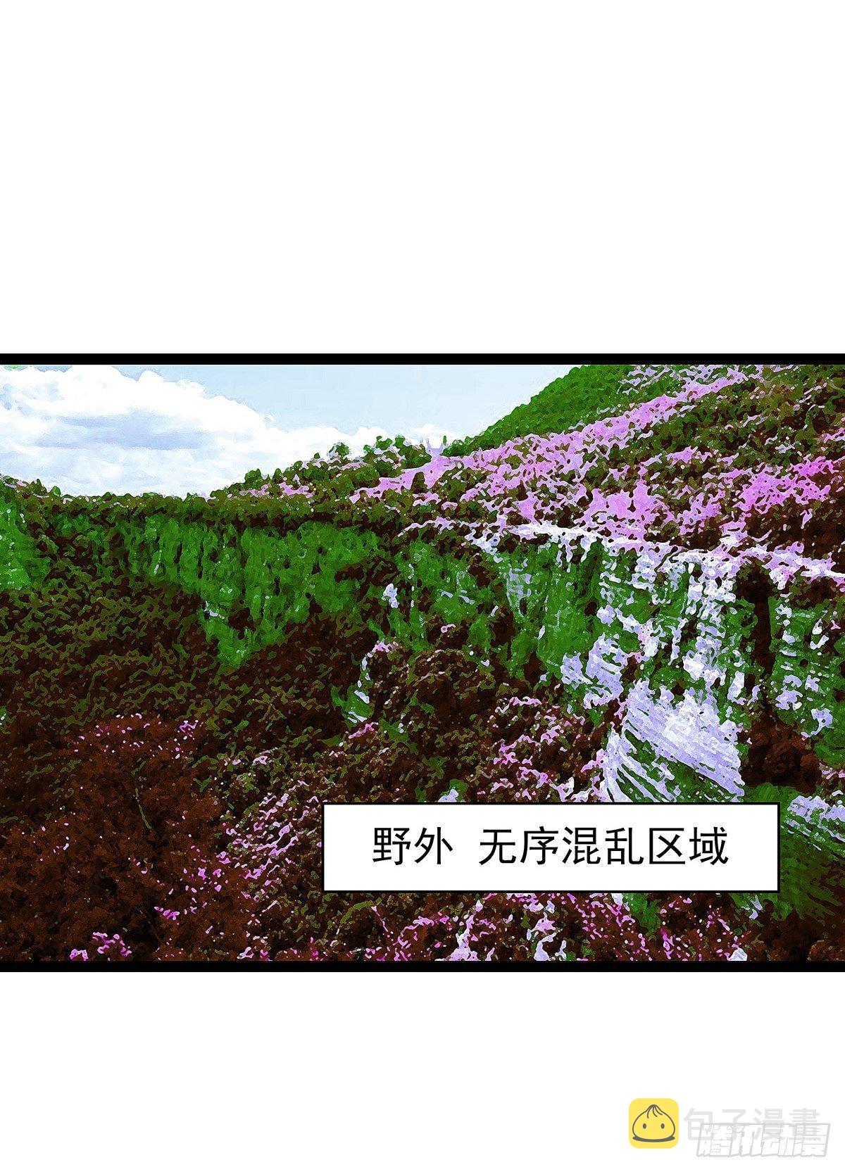 魏西45