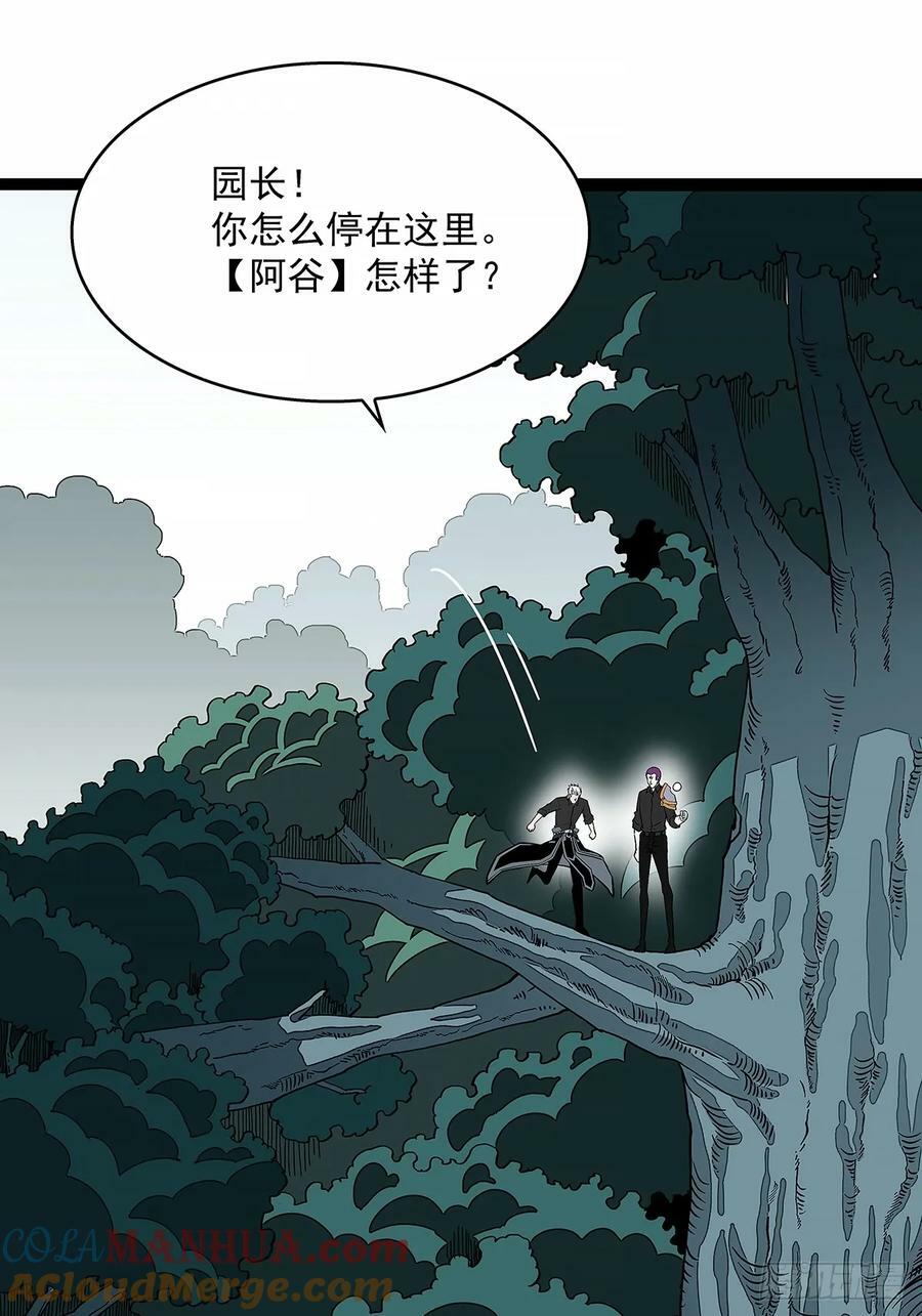 等他来30