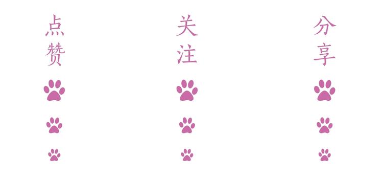 第4话 “护妻”狂魔161