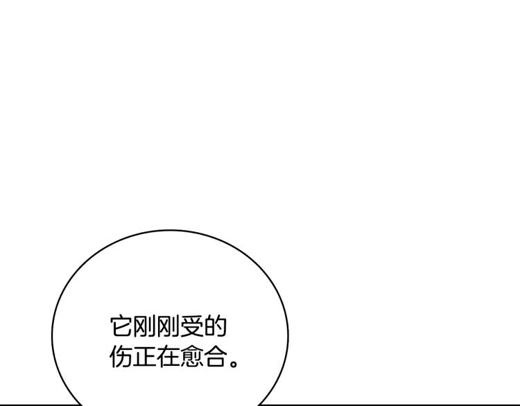 第99话 域外升级150