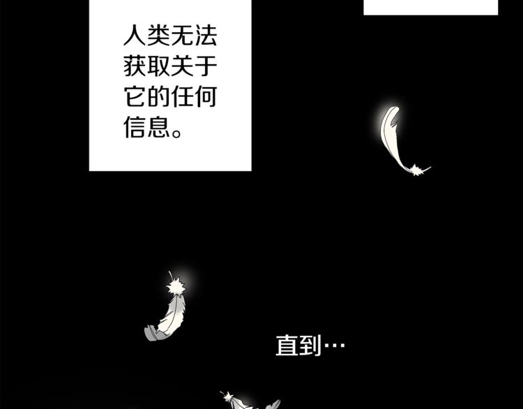 第1话 天降的萌妹辅助53
