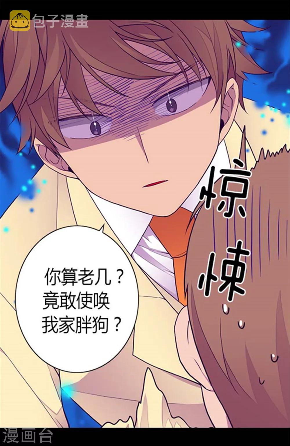 第141话 我家的宠物胖狗5