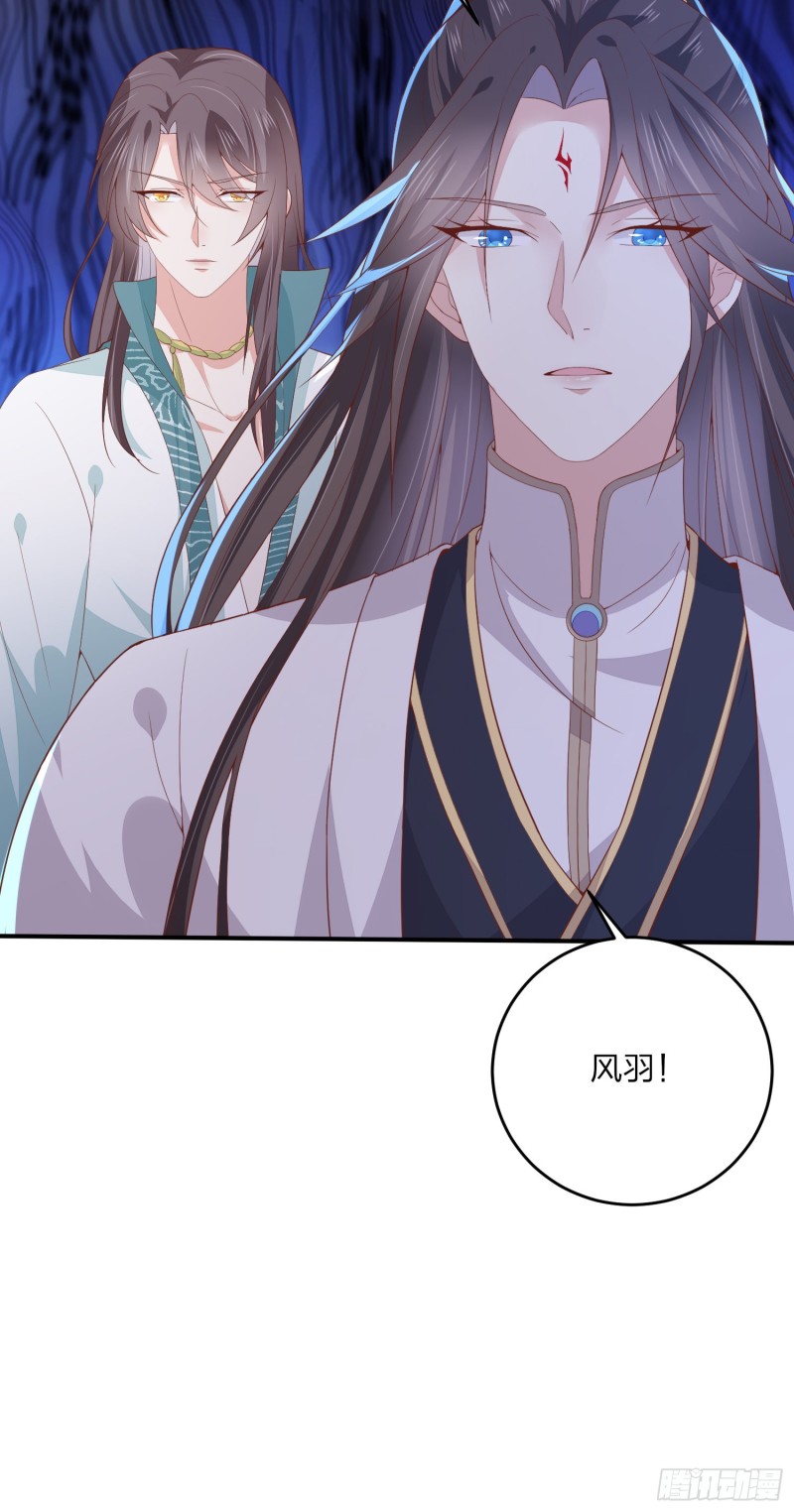 第一百六十四话 追妻8