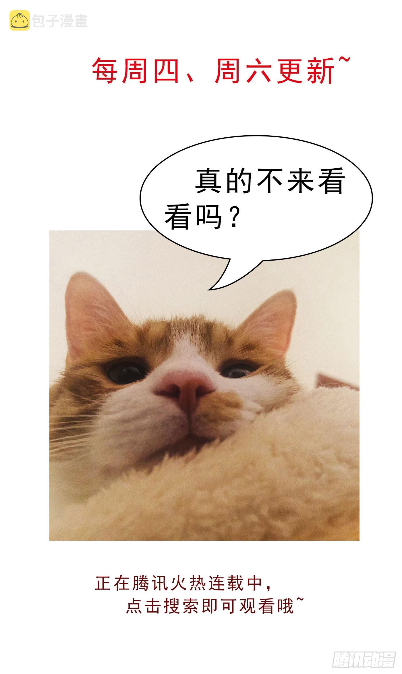 活动通知5