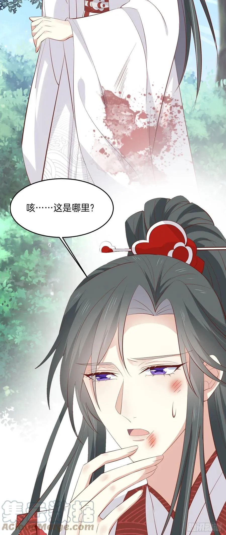 第二百三十四话 病弱美男上线28