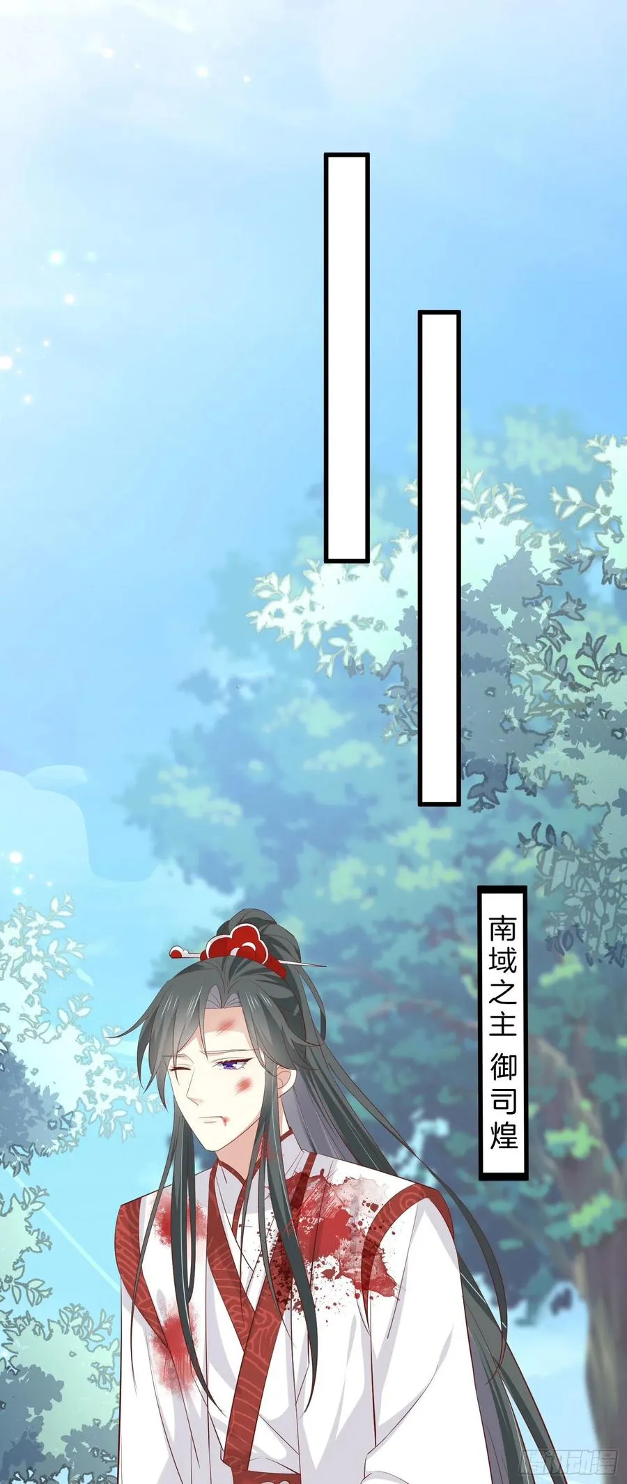 第二百三十四话 病弱美男上线27