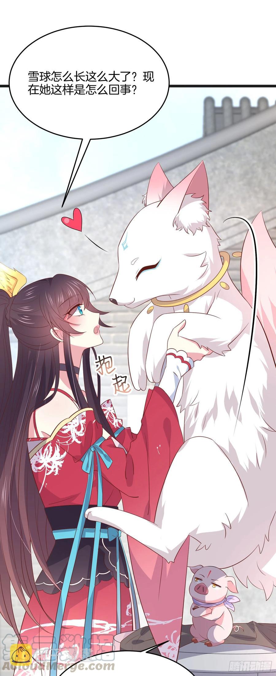 第一百九十八话 雪球回来啦6