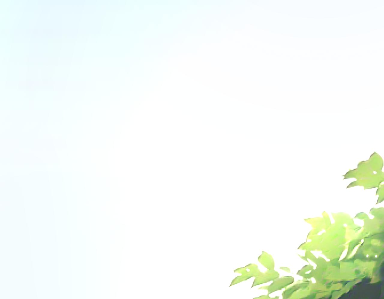 第80话 最后的心愿70