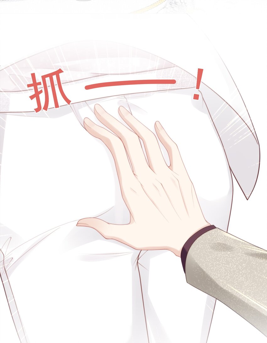 003 这手感有点软10