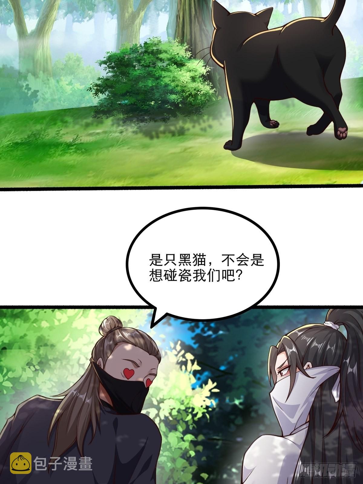 92-看我喵喵拳~2