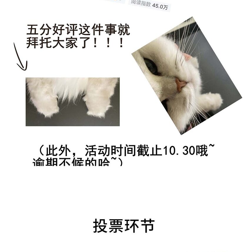 031 第三十一话 传闻52