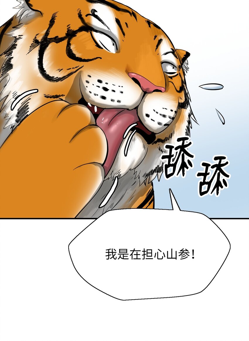 03 名贵山参59