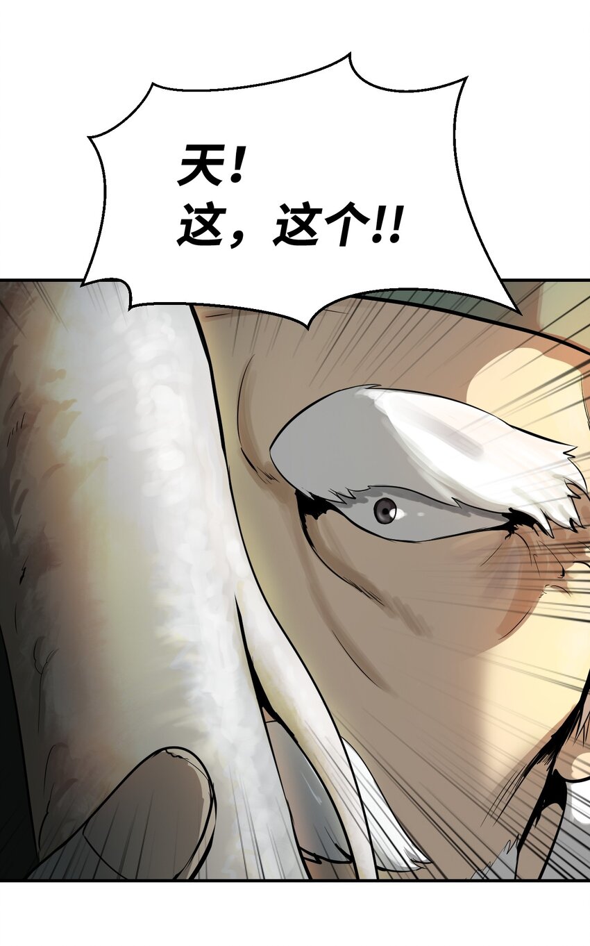 03 名贵山参39
