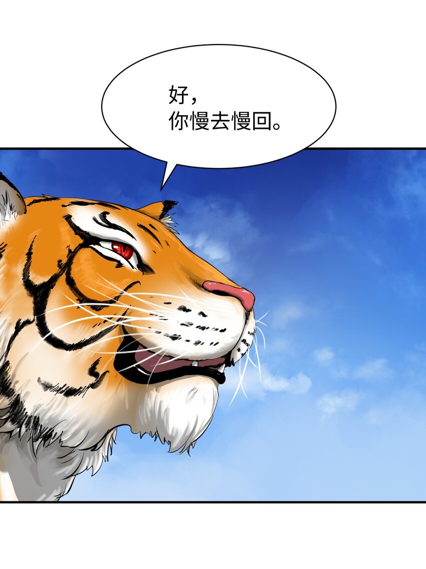 03 名贵山参26
