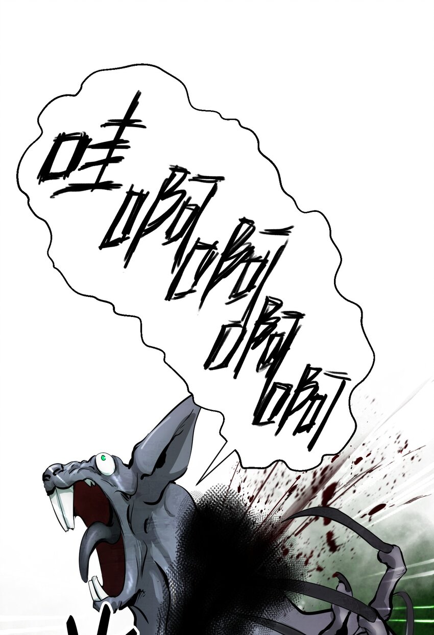 08 血描鼠资65