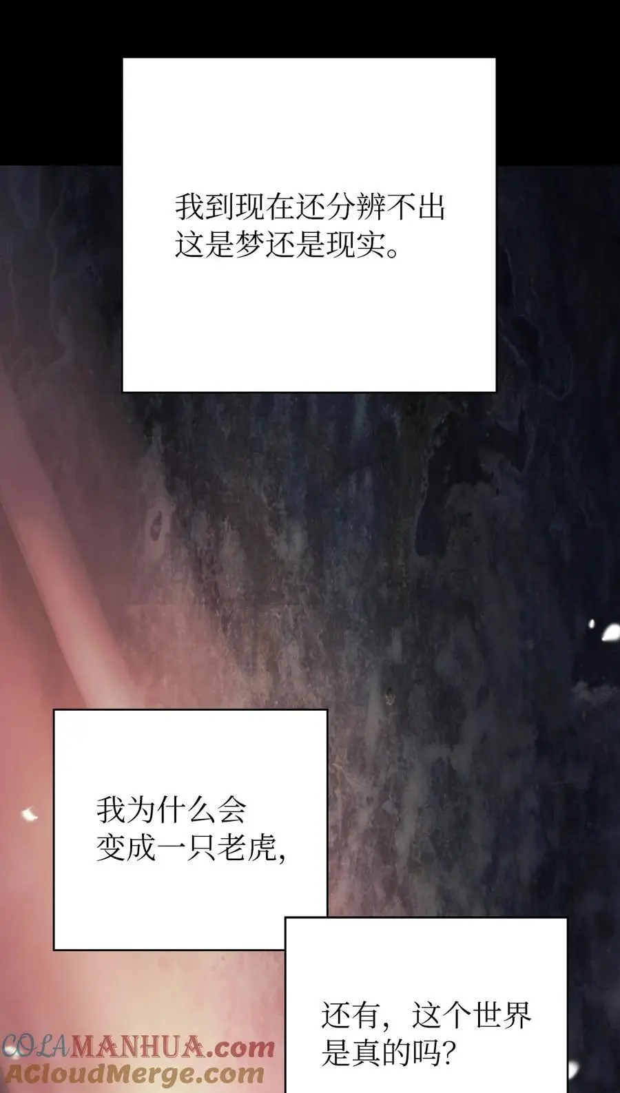123 佳人华澜52