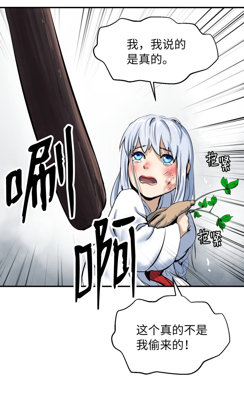 03 名贵山参88