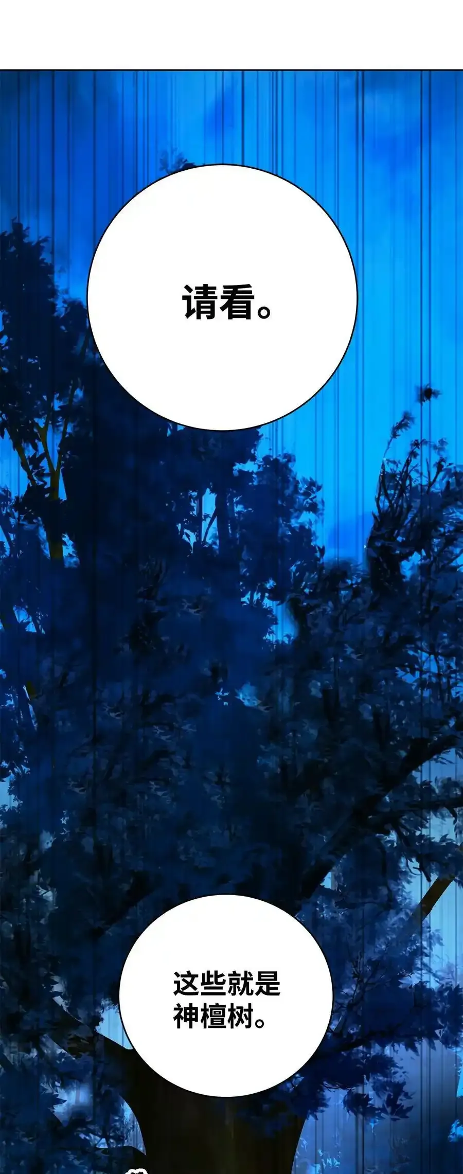 101 灵岛神木126