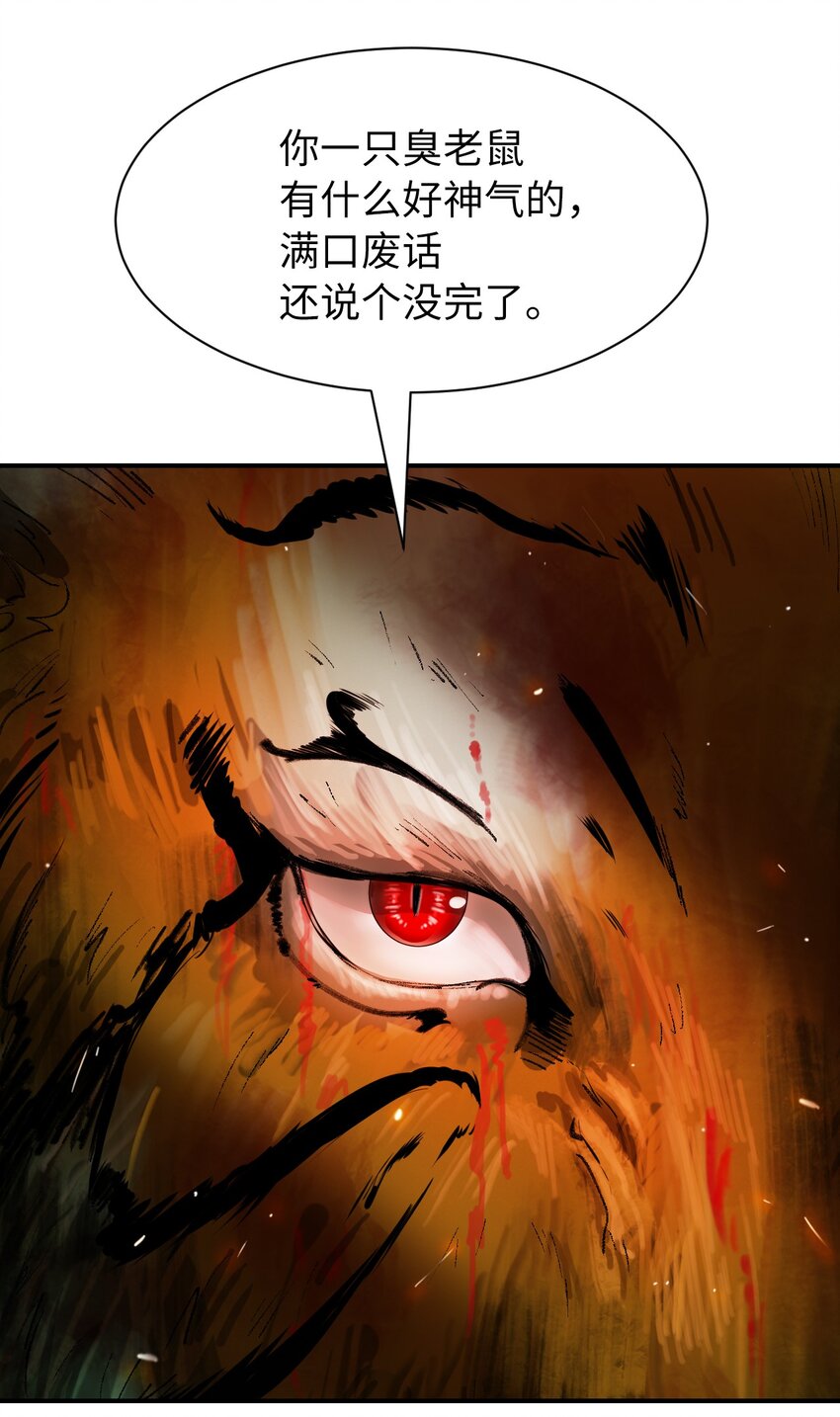 08 血描鼠资62