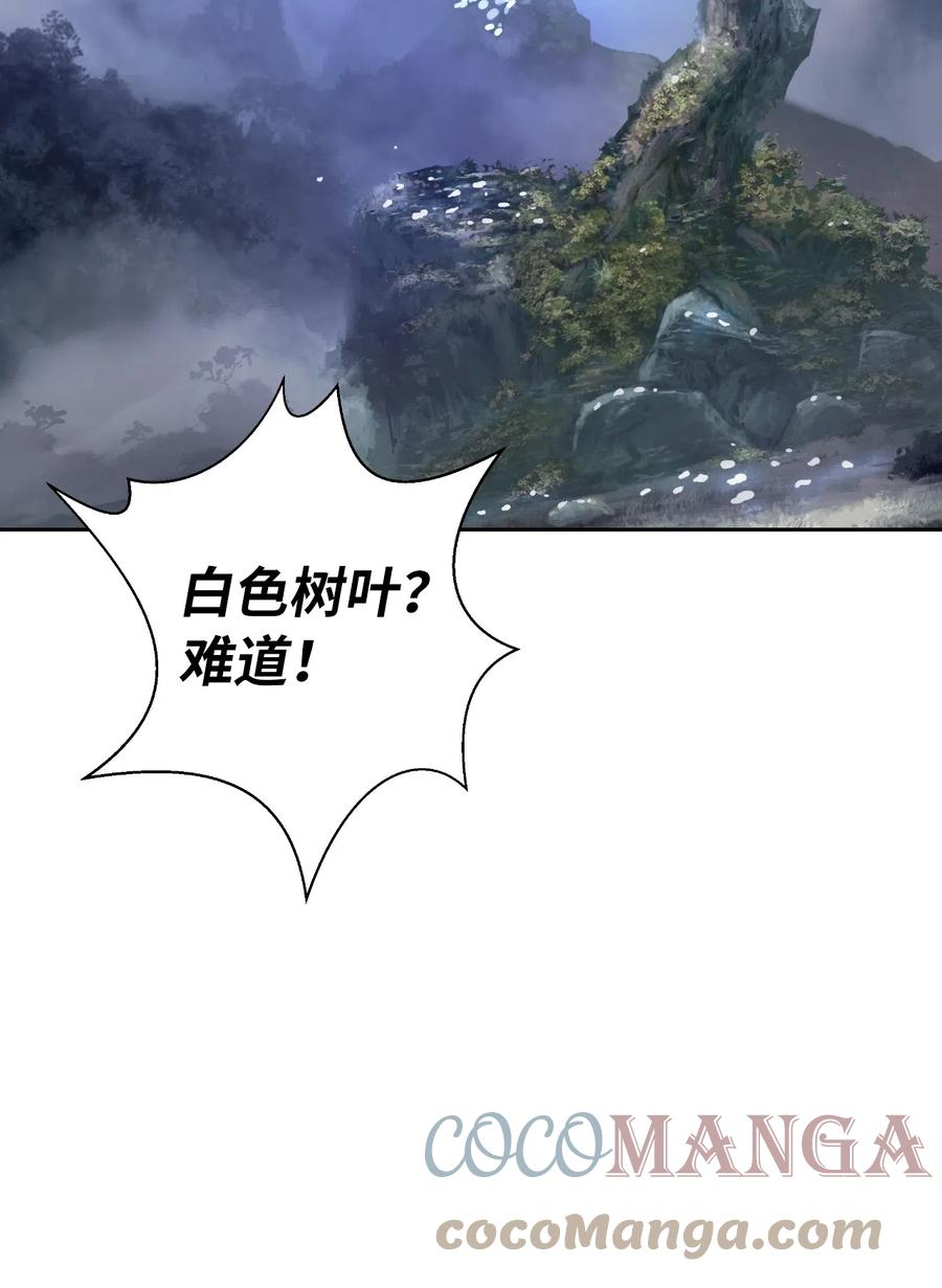 37 玉蛛白团18