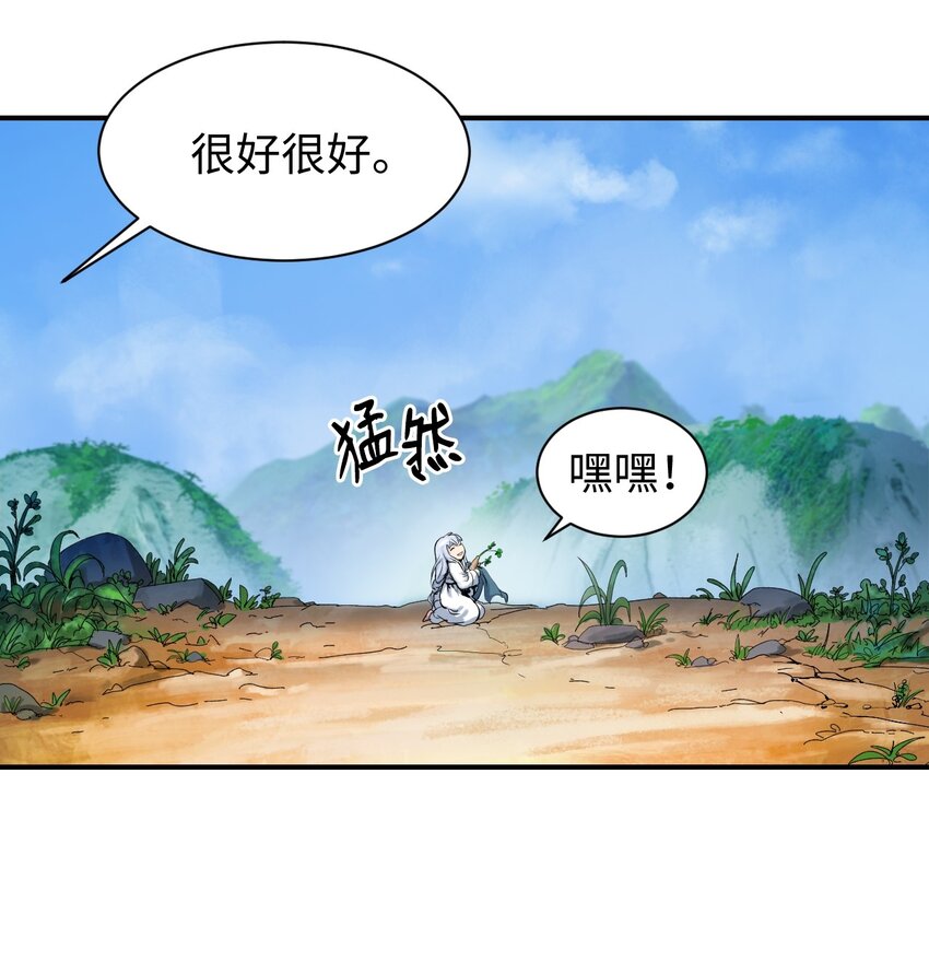 03 名贵山参29
