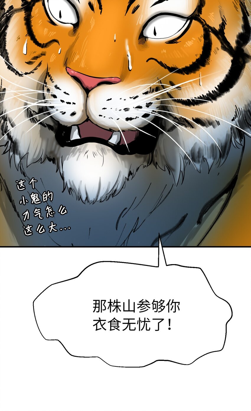 03 名贵山参17