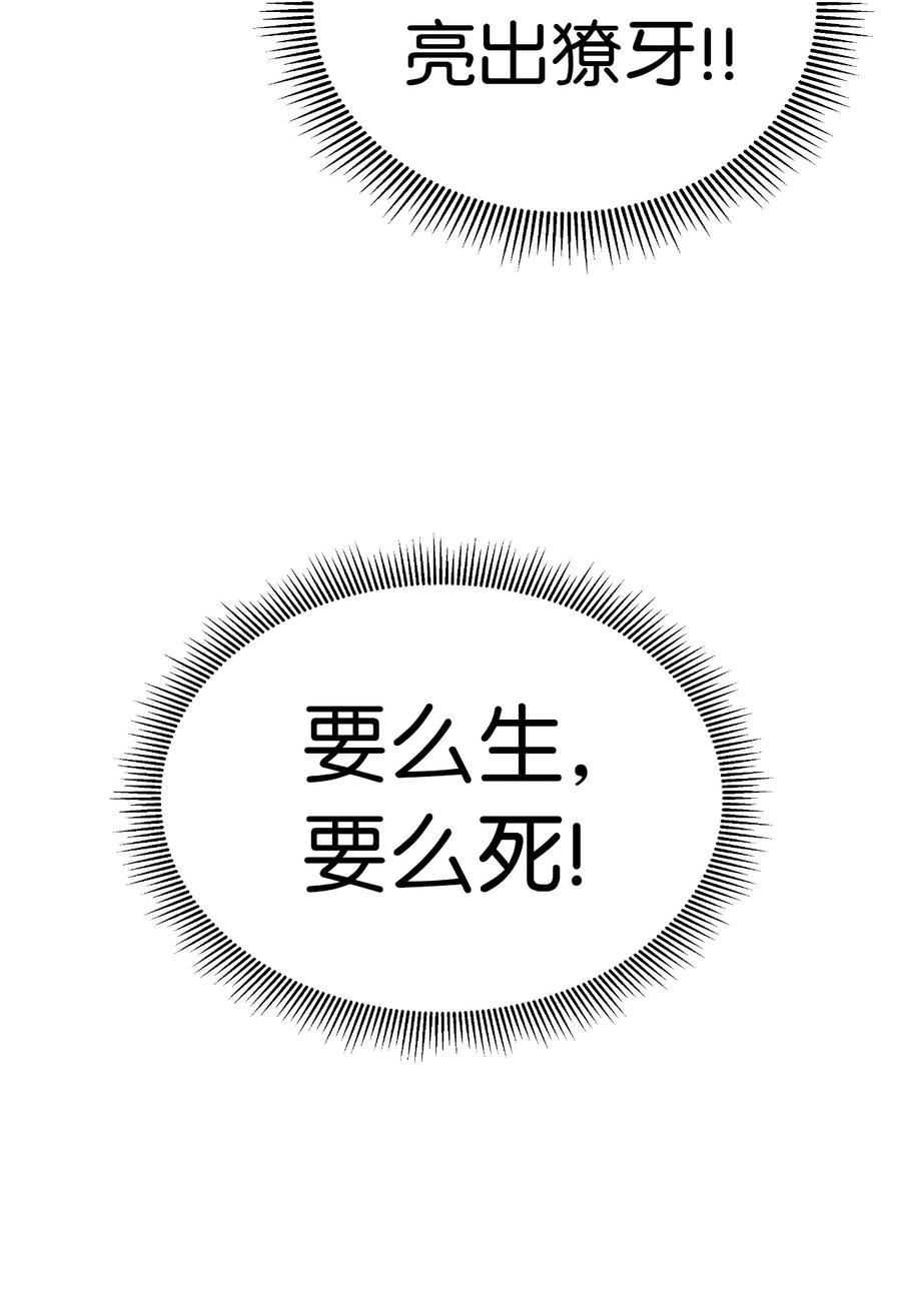 44 搏命还击43