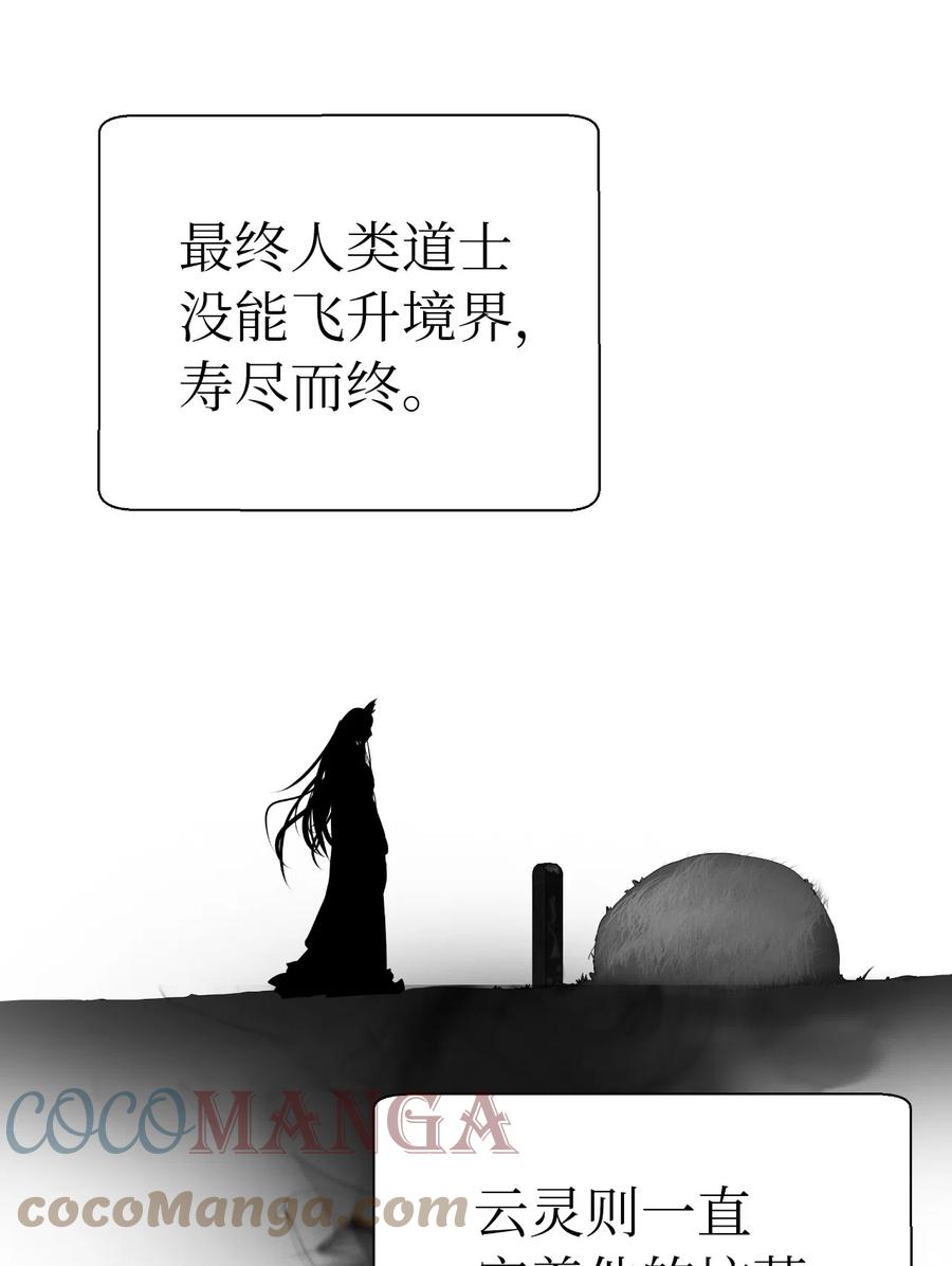 37 玉蛛白团51
