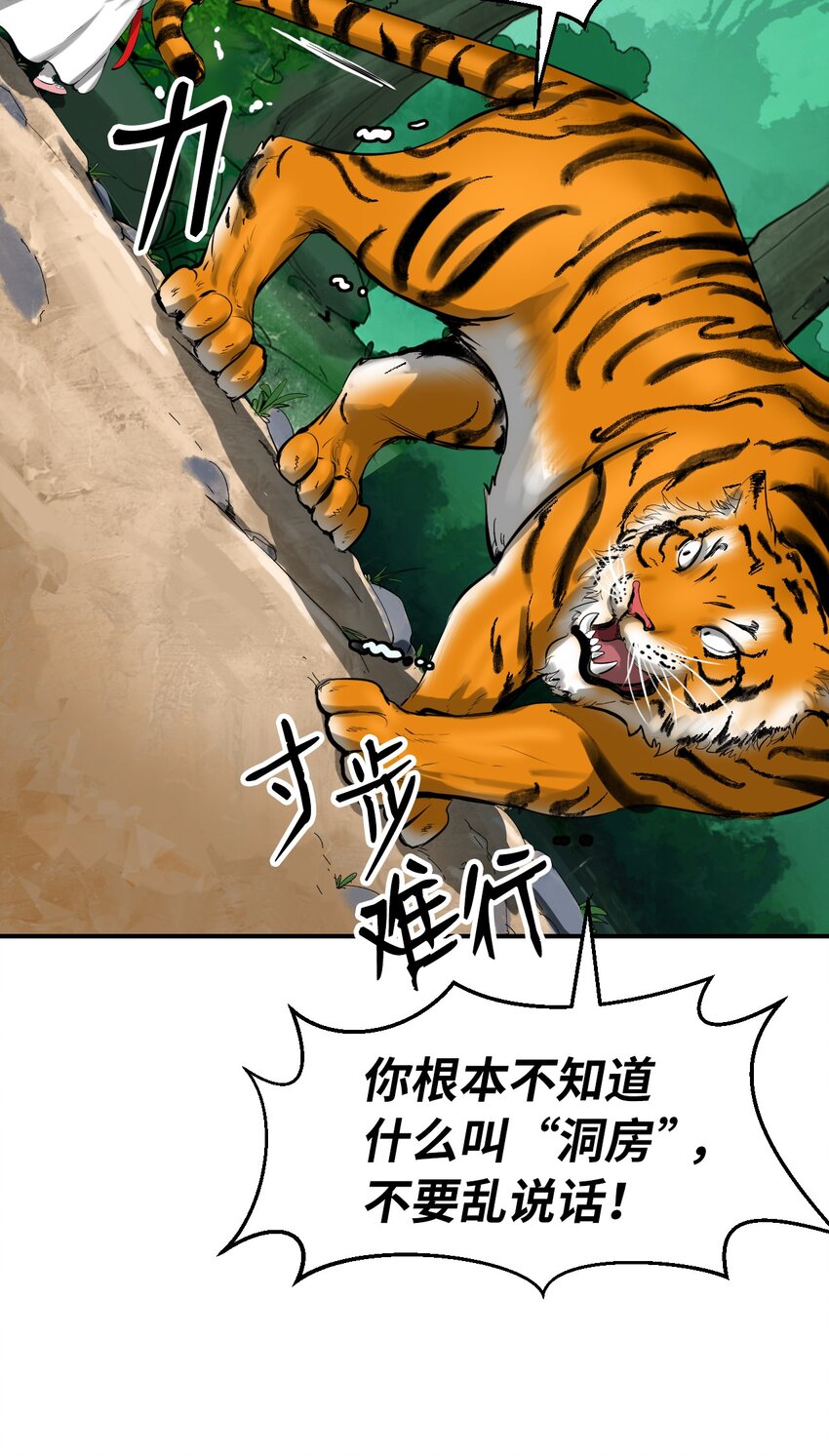 03 名贵山参14