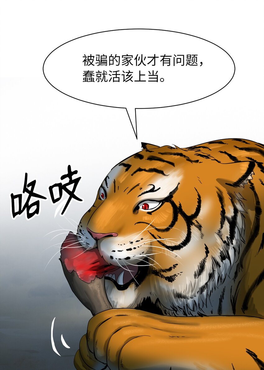 03 名贵山参51
