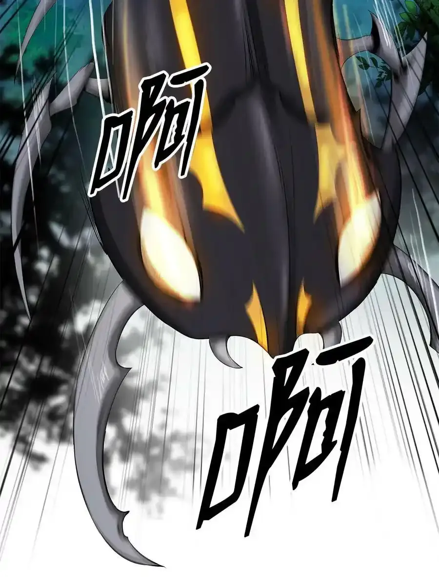 101 灵岛神木54