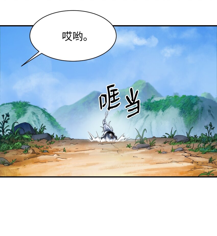 03 名贵山参28