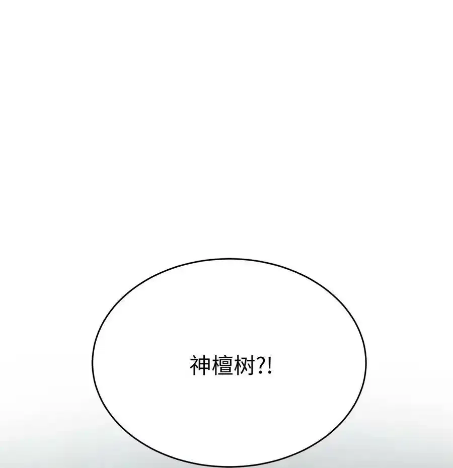101 灵岛神木78