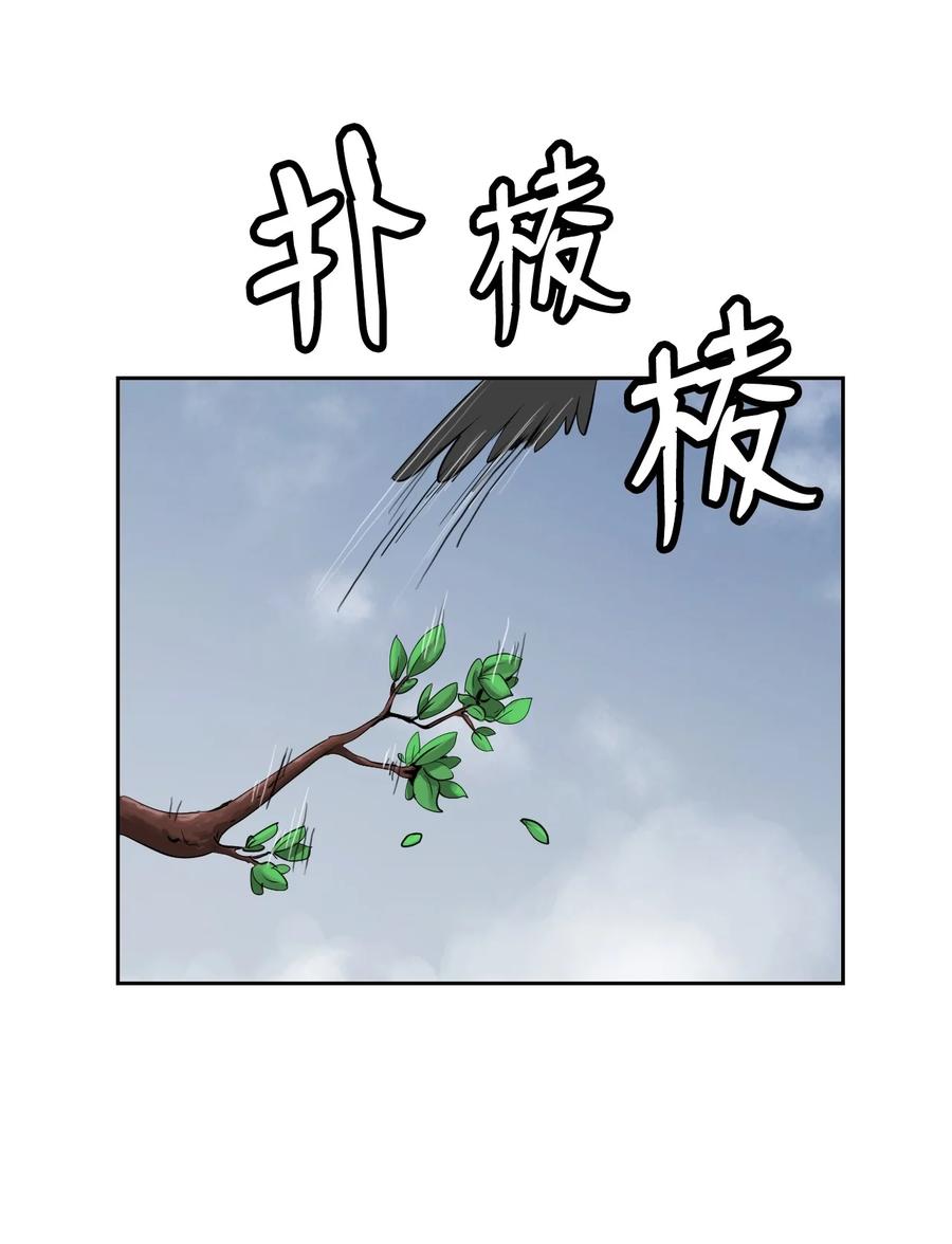 16 请君入瓮55