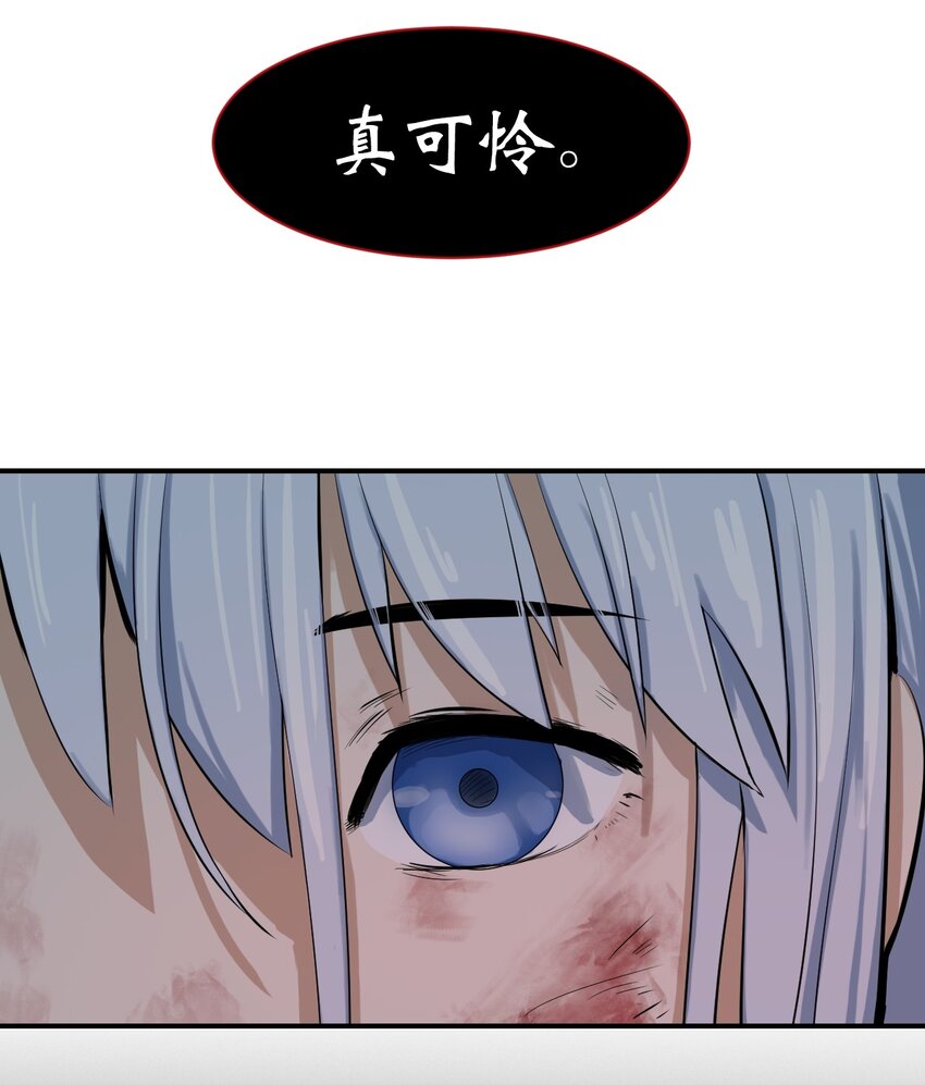 03 名贵山参104