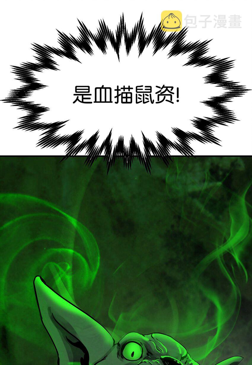 08 血描鼠资24