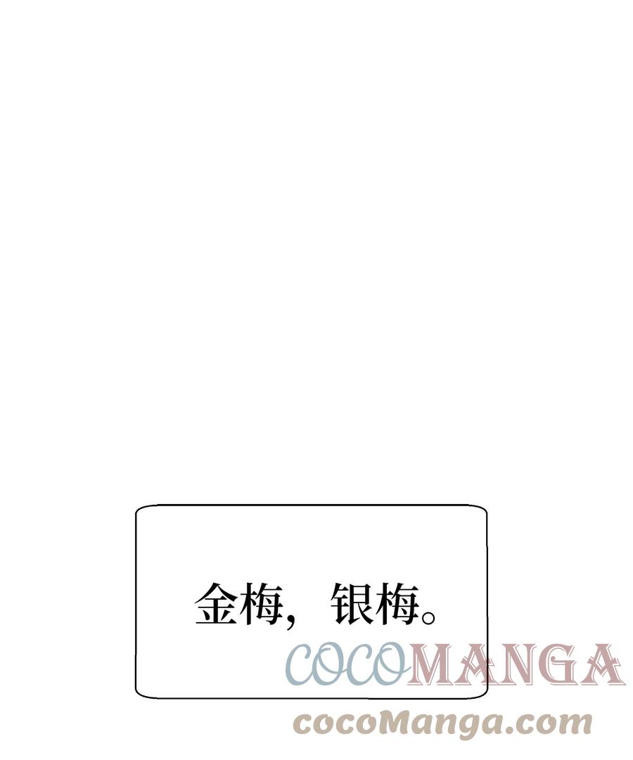 34 金梅银梅63