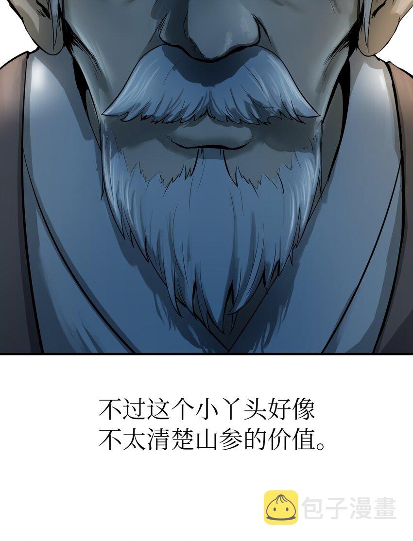 03 名贵山参42