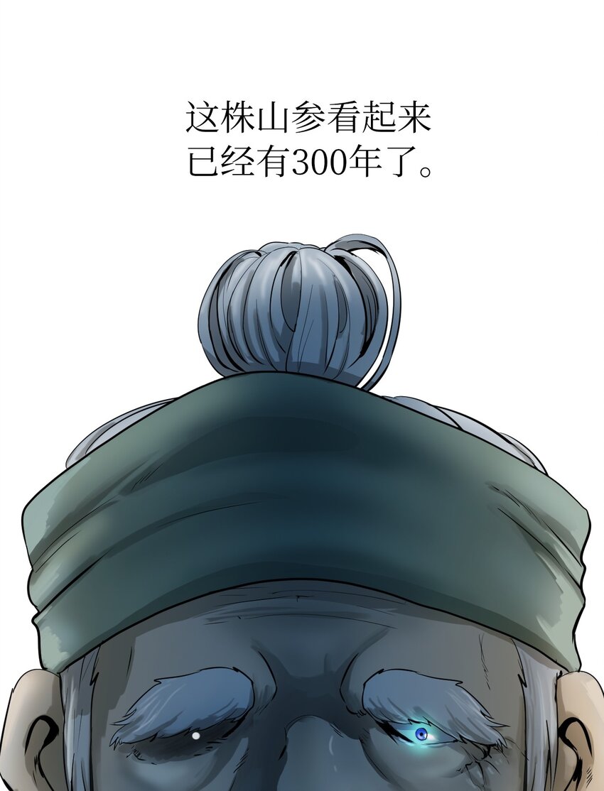 03 名贵山参41