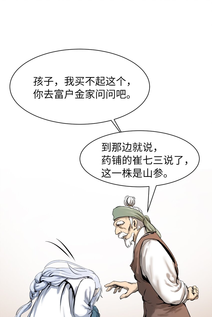 03 名贵山参47