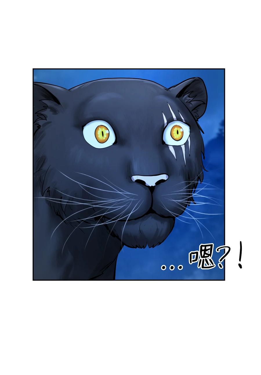13 与虎同行50