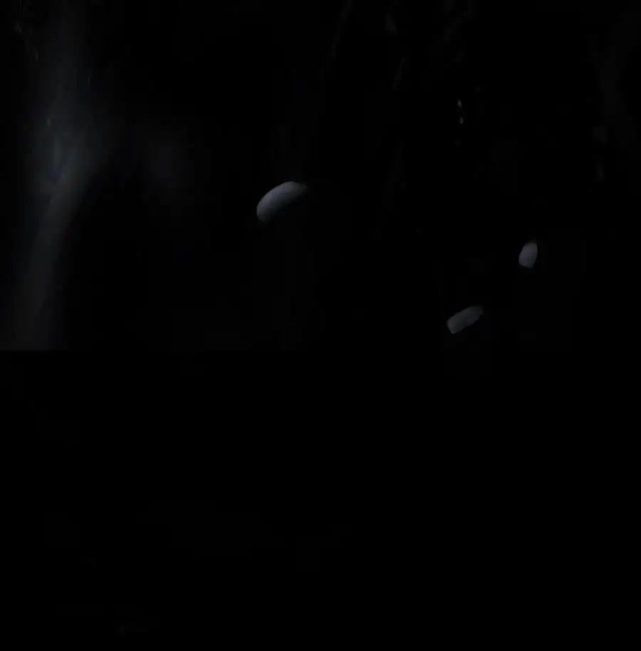 126 天时霹劫115